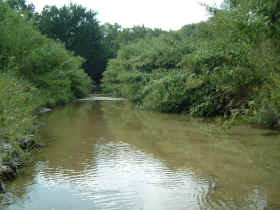 The creek behind our house