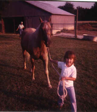 Asya leading Pal to get saddled.