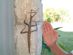 A walking stick we found on the house